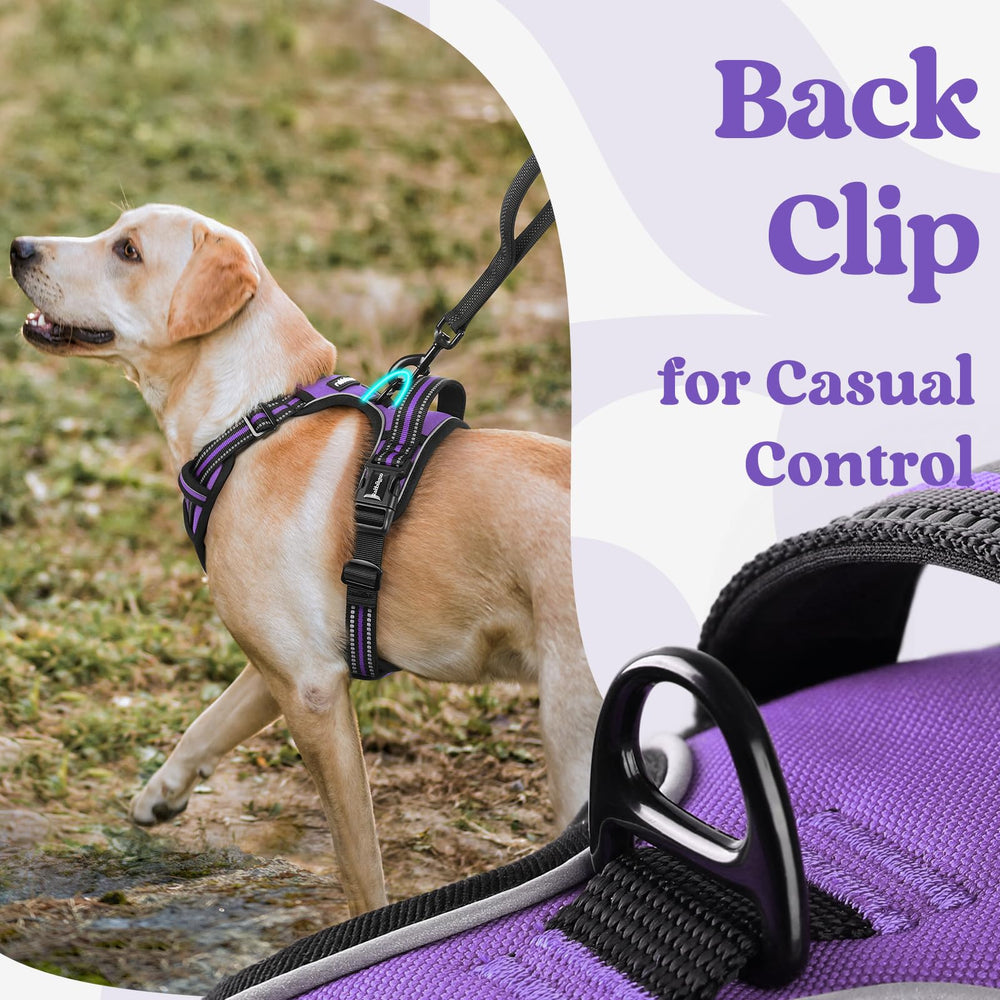 rabbitgoo breathable air mesh keeps dogs cool and comfortable on hot days