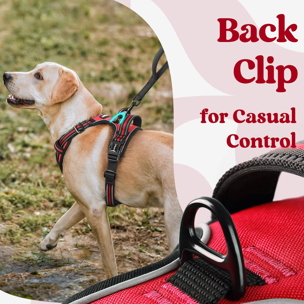 Rabbitgoo breathable air mesh keeps dogs cool on warm walks.