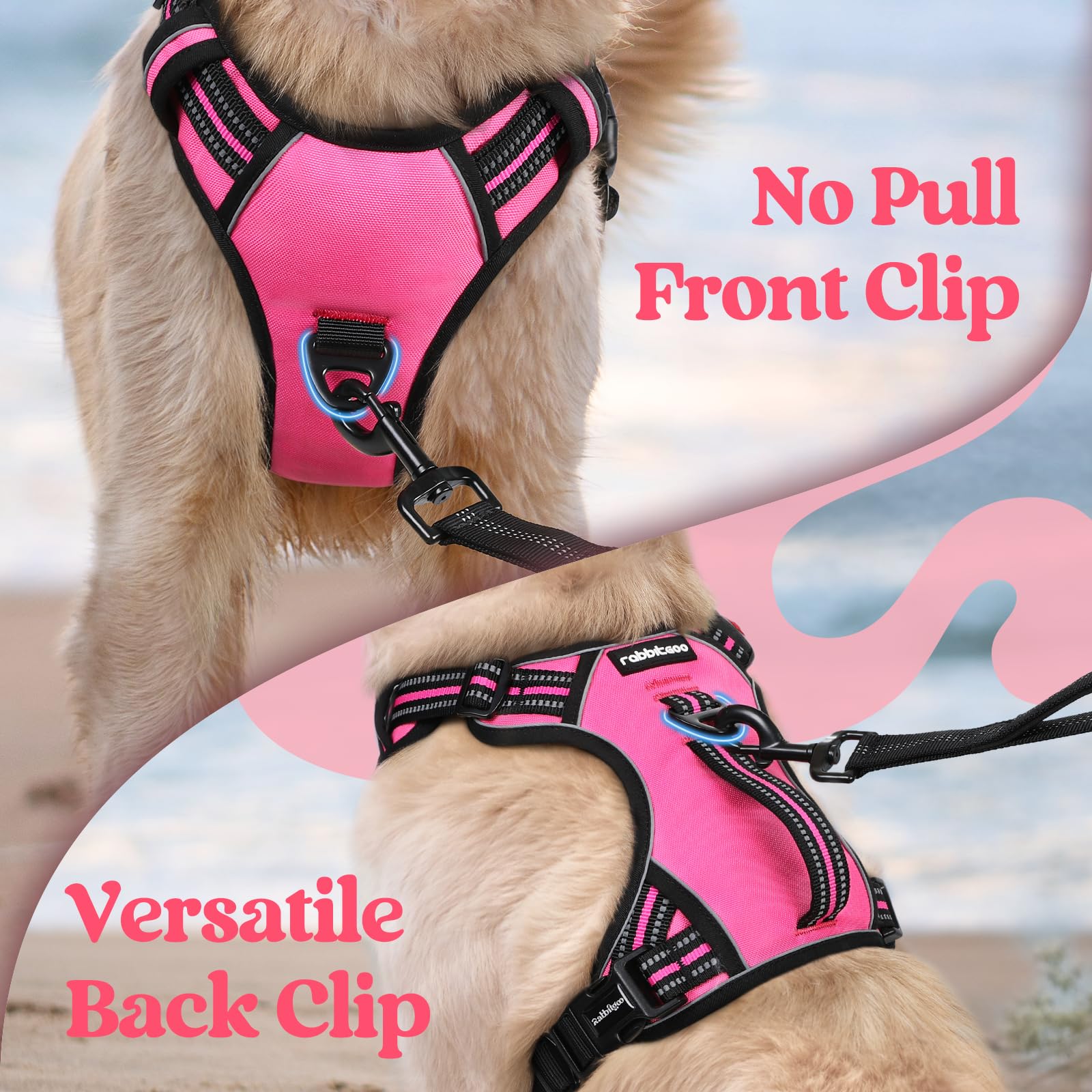 Rabbitgoo breathable mesh padding harness keeps dogs cool during activity.