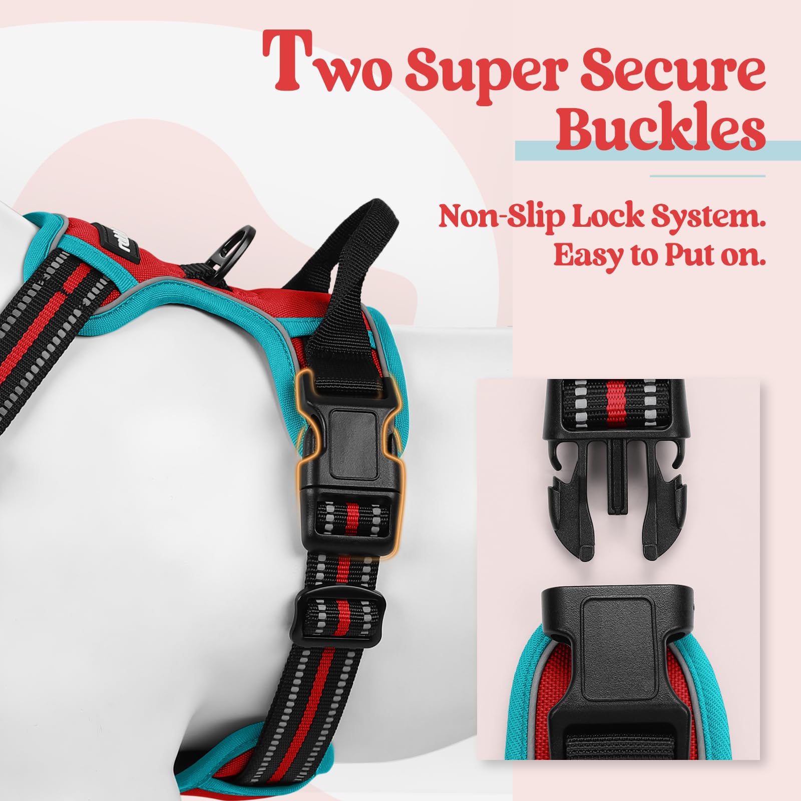 Rabbitgoo chest clip harness in action to curb pulling during training.