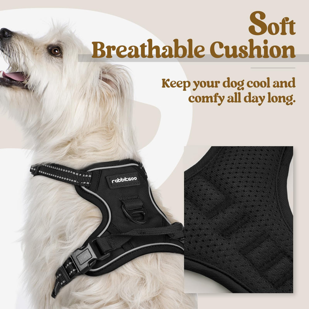Rabbitgoo harness chest clip promotes no-pull control during active small-dog training
