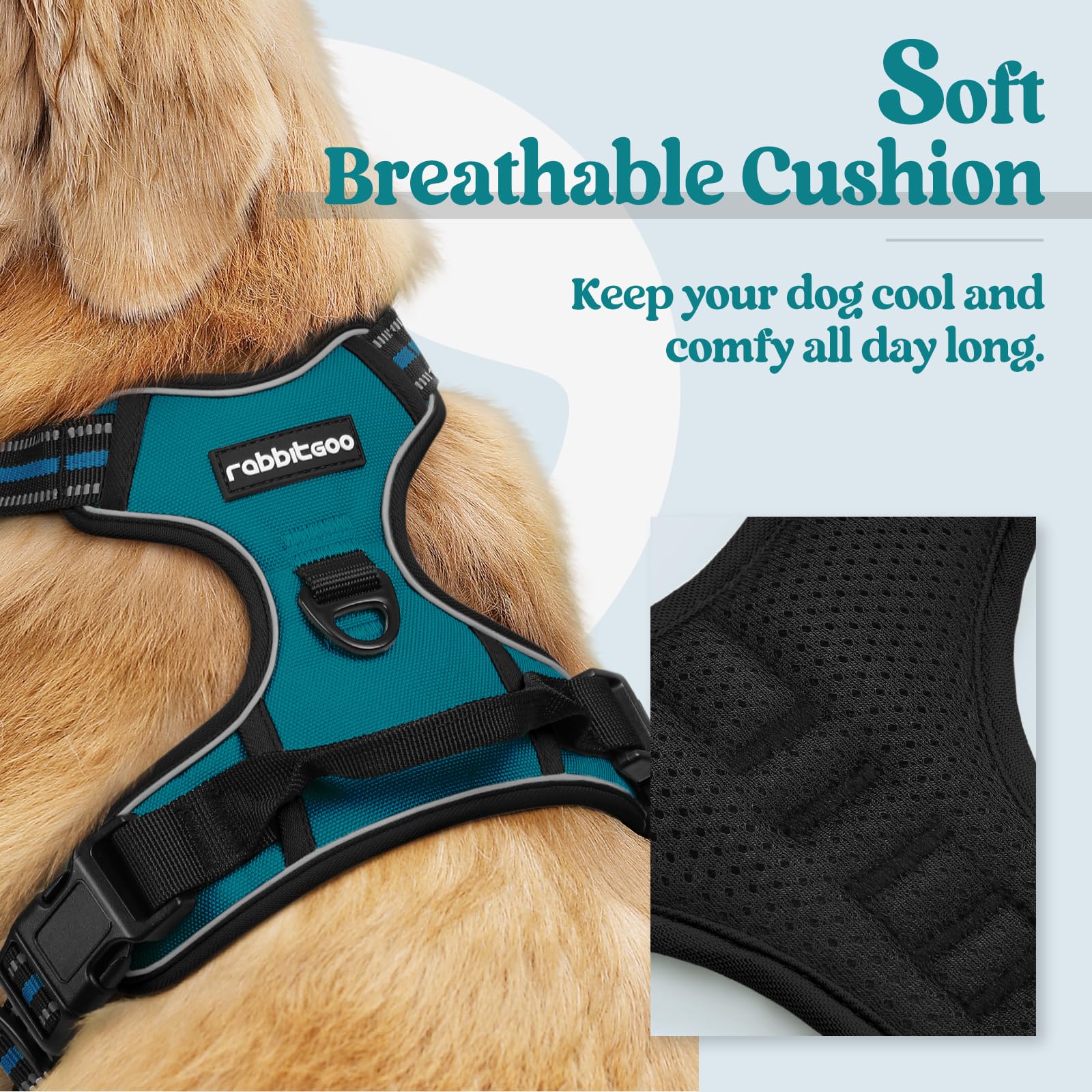 Rabbitgoo dog harness chest clip enhances training by reducing pulling during focused walks.