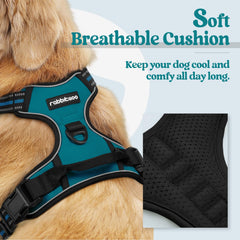 Rabbitgoo dog harness chest clip enhances training by reducing pulling during focused walks.