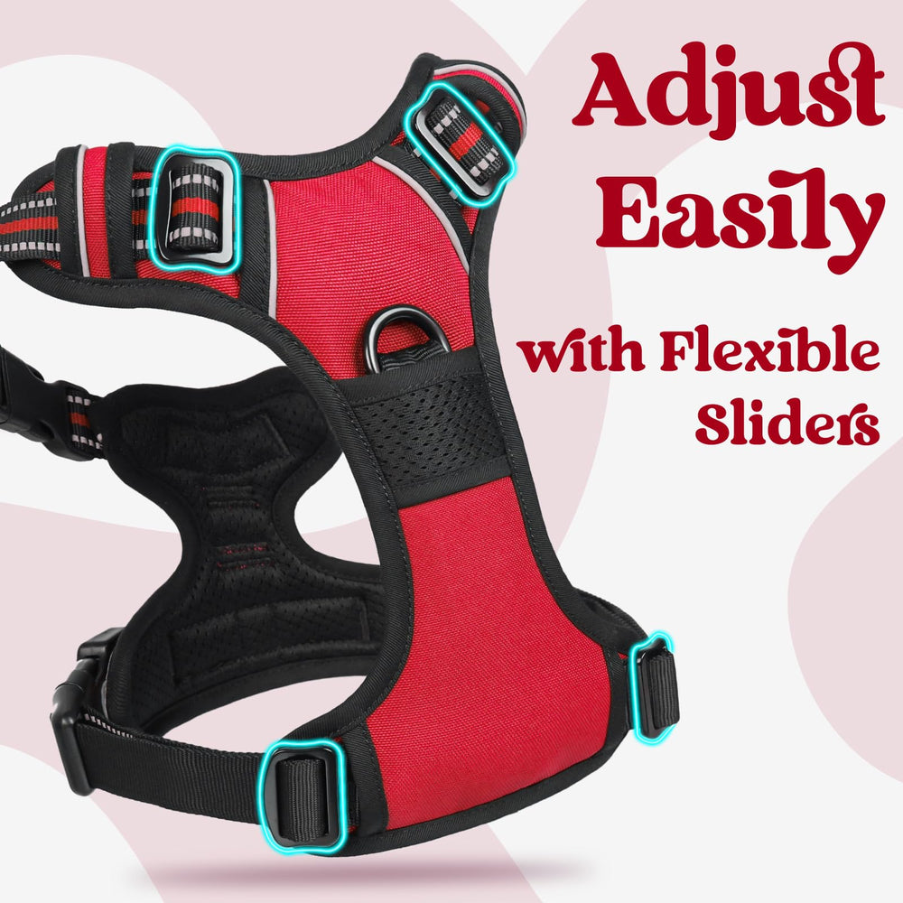 Rabbitgoo dog harness control handle enables confident lifting and quick control.