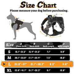 Rabbitgoo harness features a padded control handle for quick, secure management.