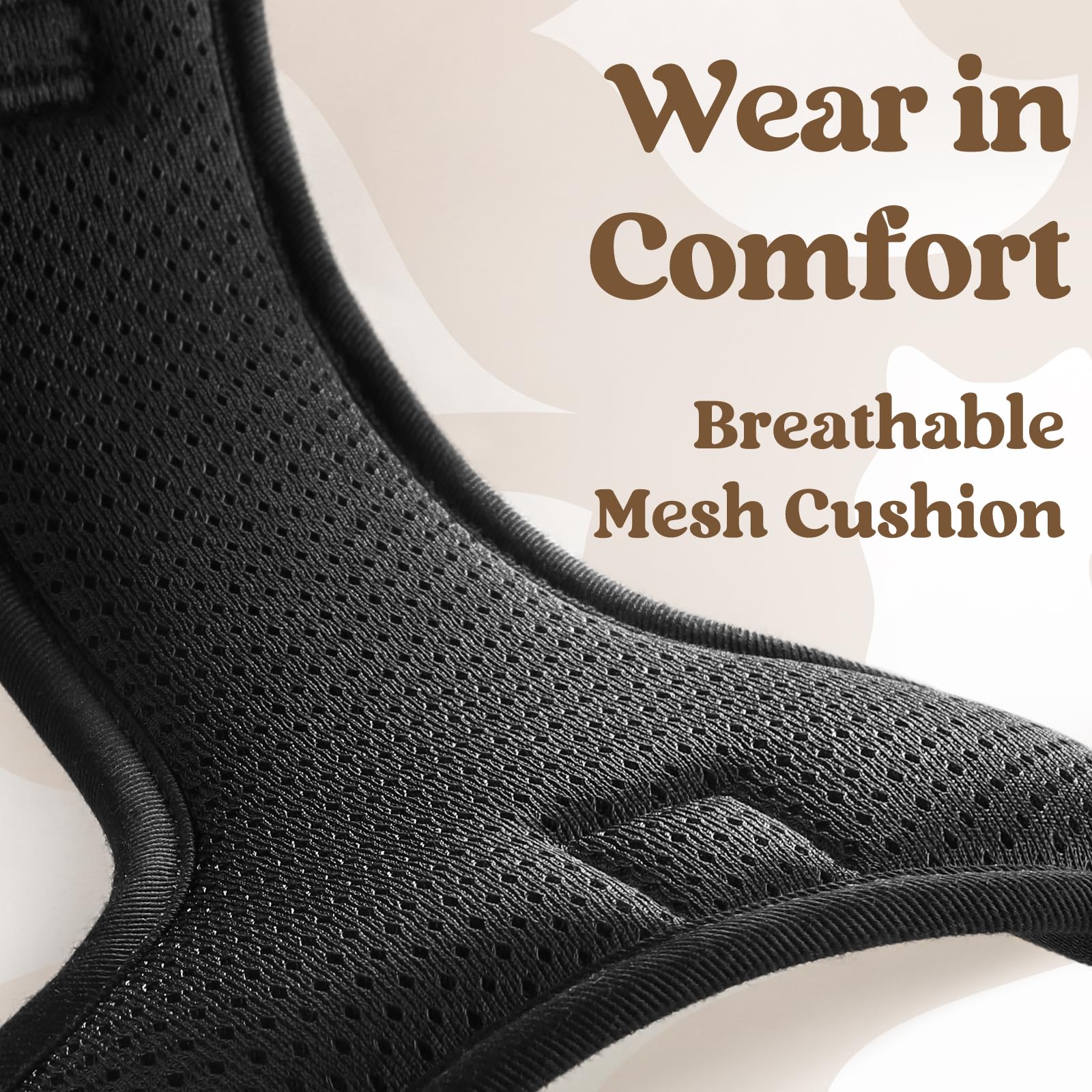 Rabbitgoo double leash attachment points support varied activities from walking to training.