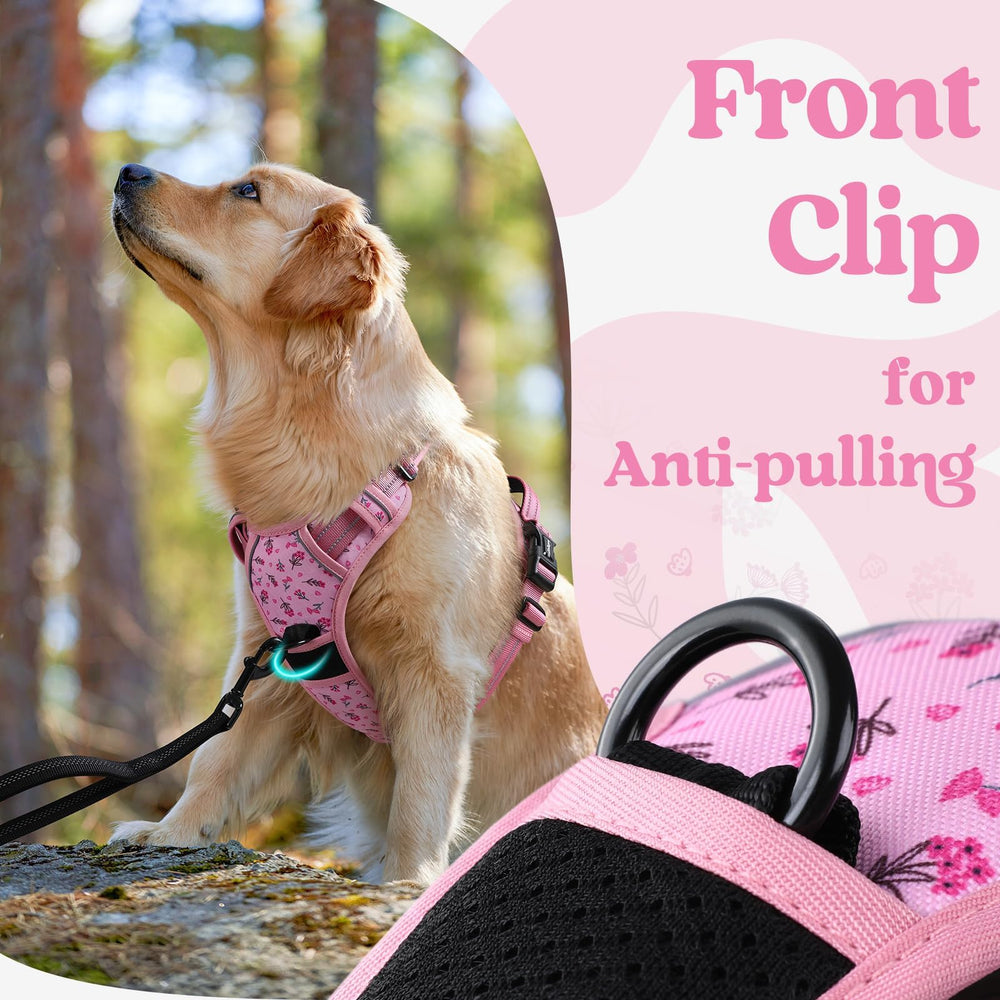 rabbitgoo dual leash attachment points support varied walking setups.