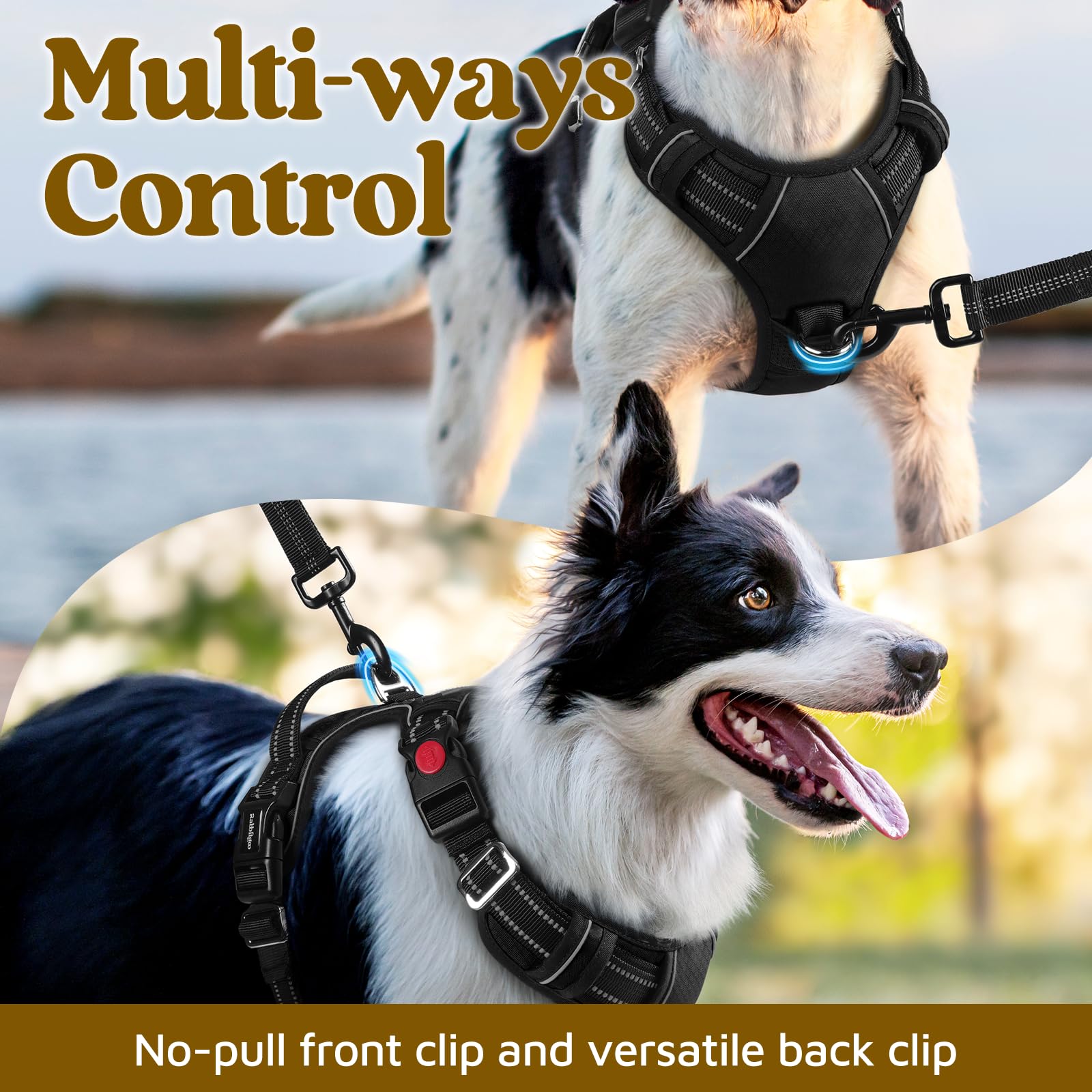 Rabbitgoo durable fabric dog harness for long lasting strength