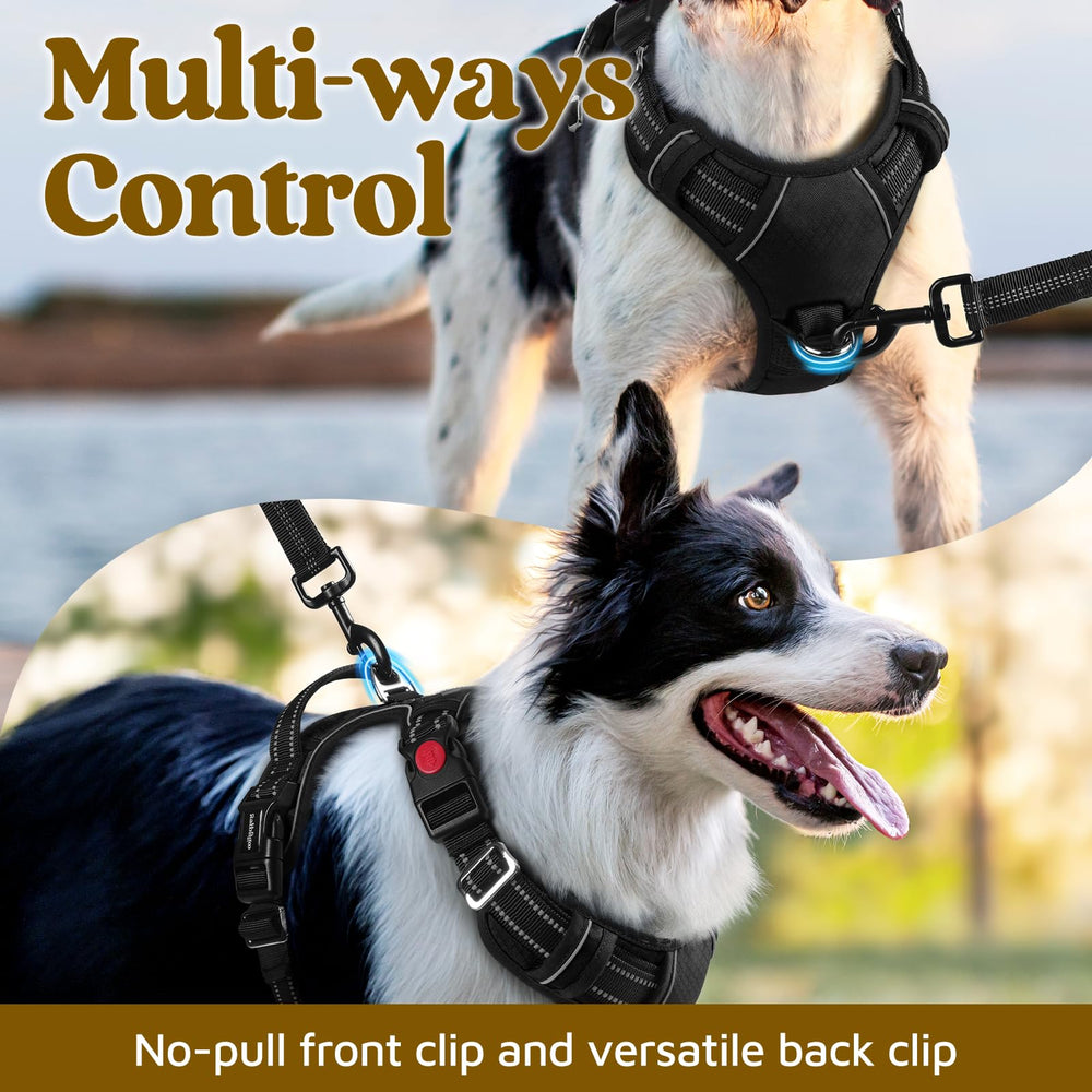 Rabbitgoo durable fabric dog harness for long lasting strength