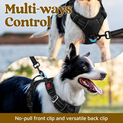 Rabbitgoo durable fabric dog harness for long lasting strength