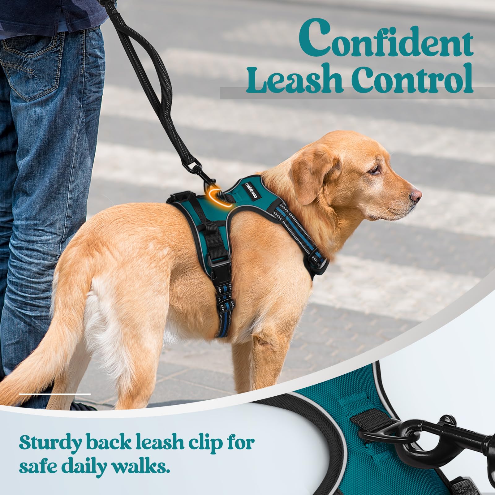 Rabbitgoo easy-on-off-buckles simplify fitting during quick harnessing