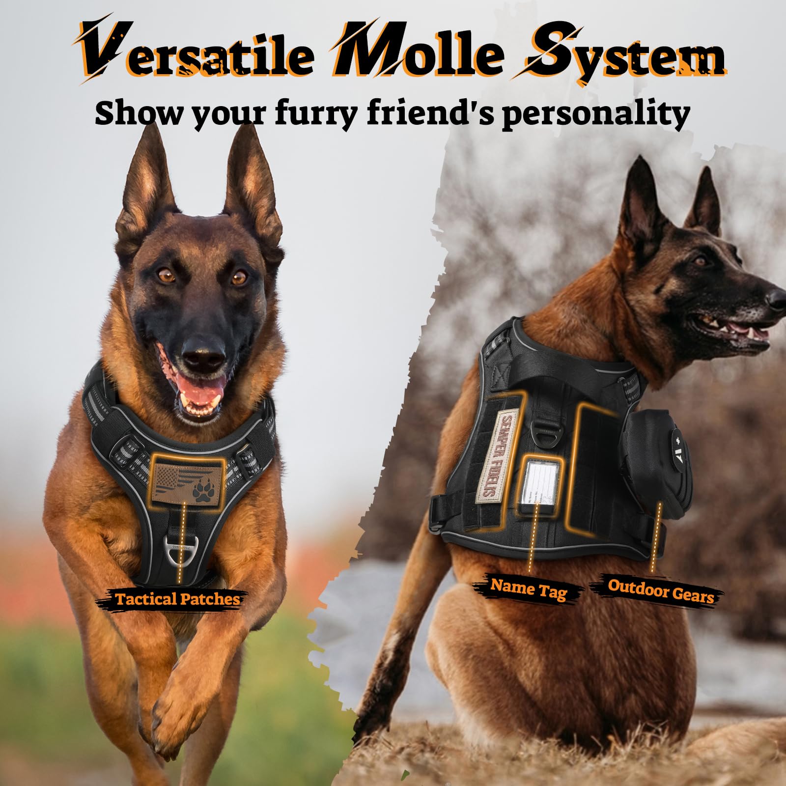Rabbitgoo harness with four leash clips, including a front clip for no-pull training.
