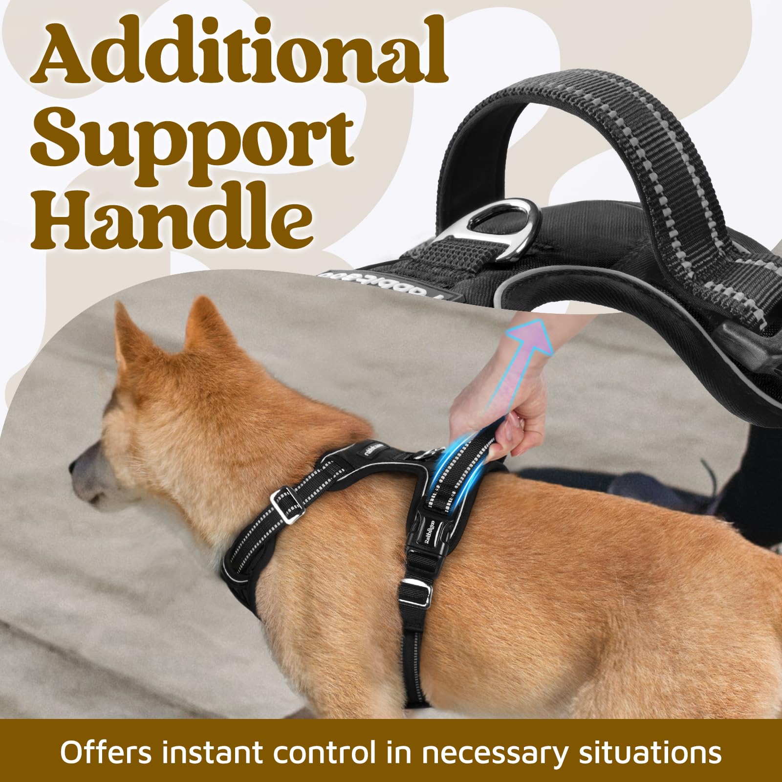 Rabbitgoo harness with front and back leash clips for versatile control