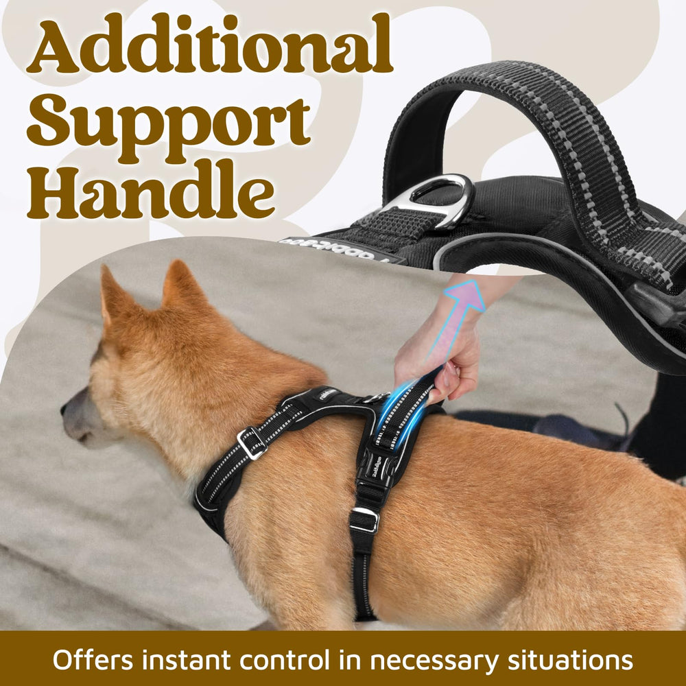 Rabbitgoo harness with front and back leash clips for versatile control