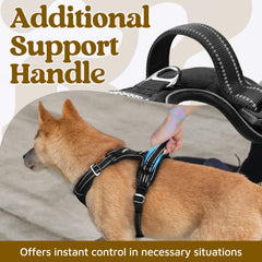 Rabbitgoo harness with front and back leash clips for versatile control