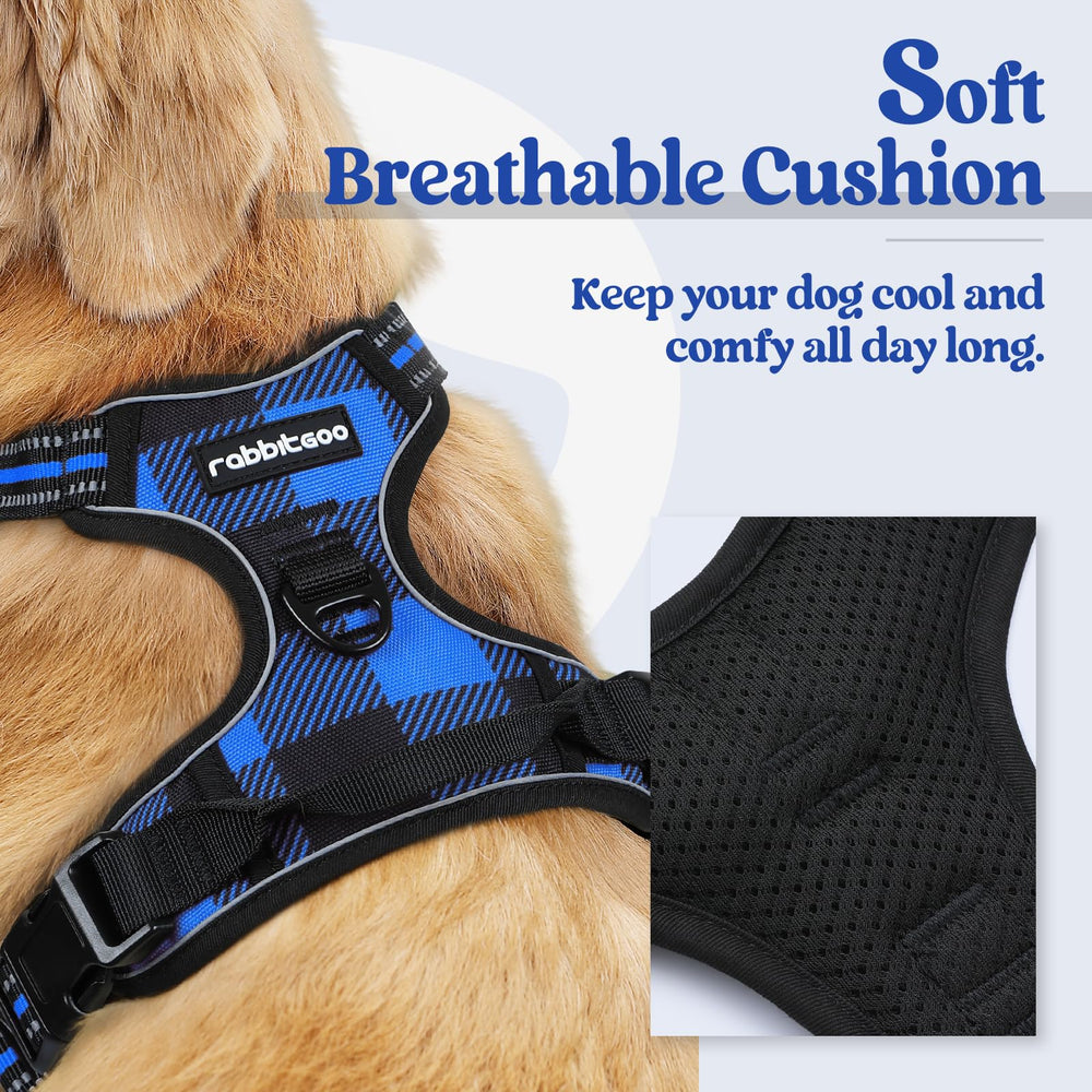 Rabbitgoo harness chest clip engaged for training and pulling control