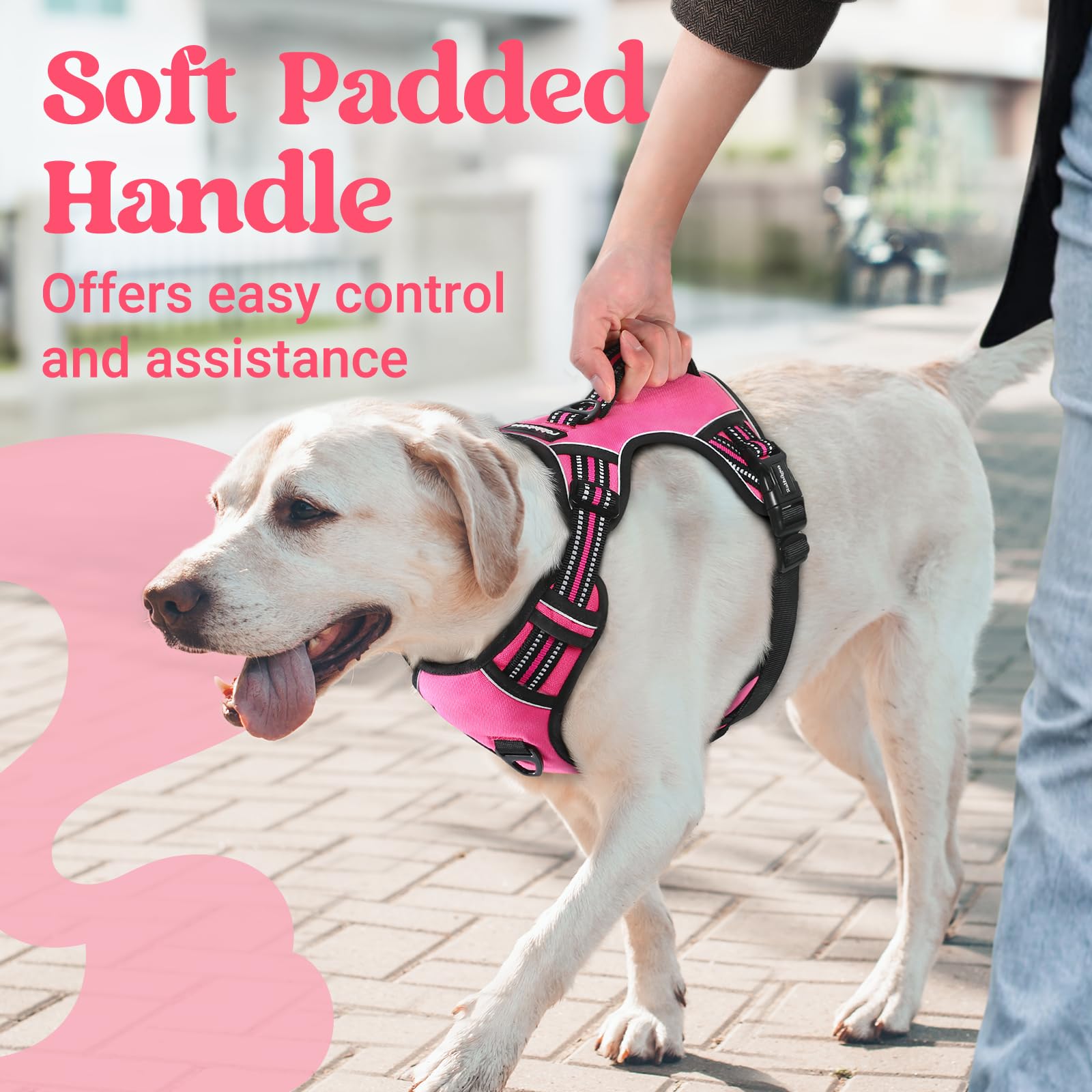 Rabbitgoo harness front clip facilitates gentle no-pull control during walks.