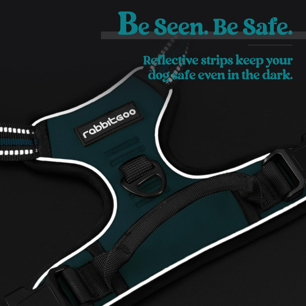 Rabbitgoo dog harness fully adjustable straps ensure a secure fit.