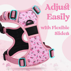 Rabbitgoo large harness shows breathable air mesh for cool wear.