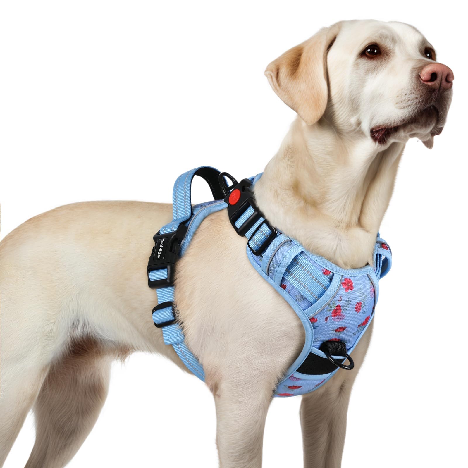 Rabbitgoo large floral blue dog harness with adjustable straps for a secure fit.