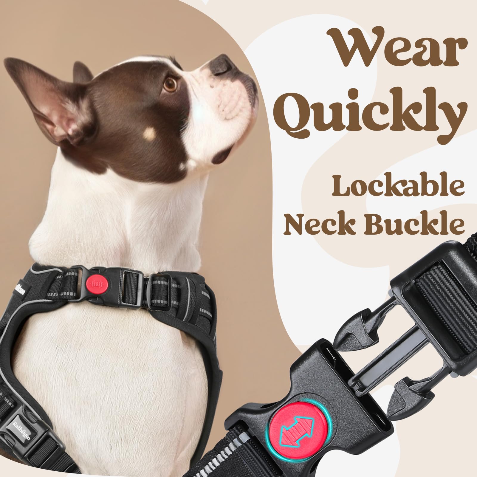 Rabbitgoo harness back strap detail ensures secure, comfortable fit during active outings.