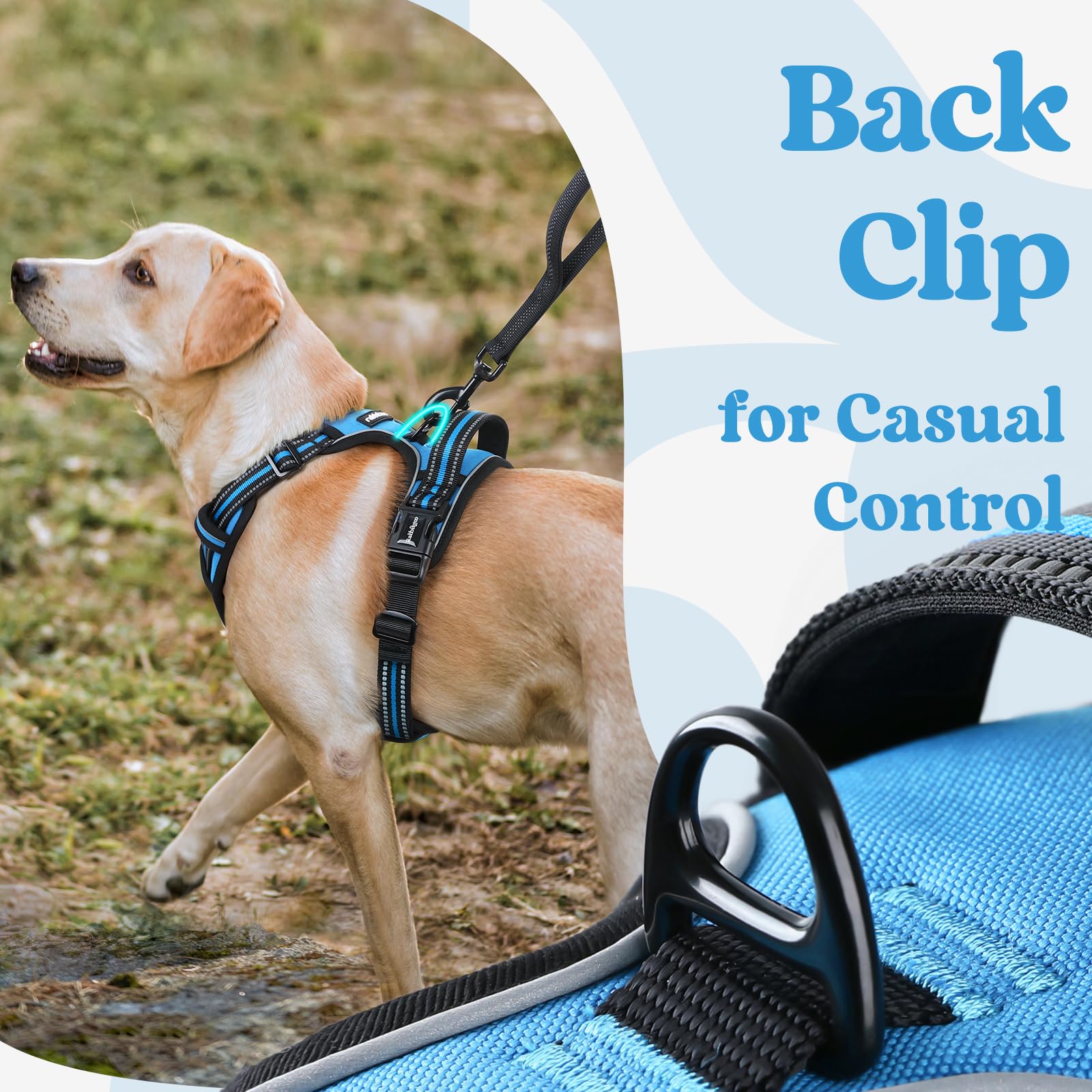 Rabbitgoo breathable air mesh keeps dogs cool during workouts.