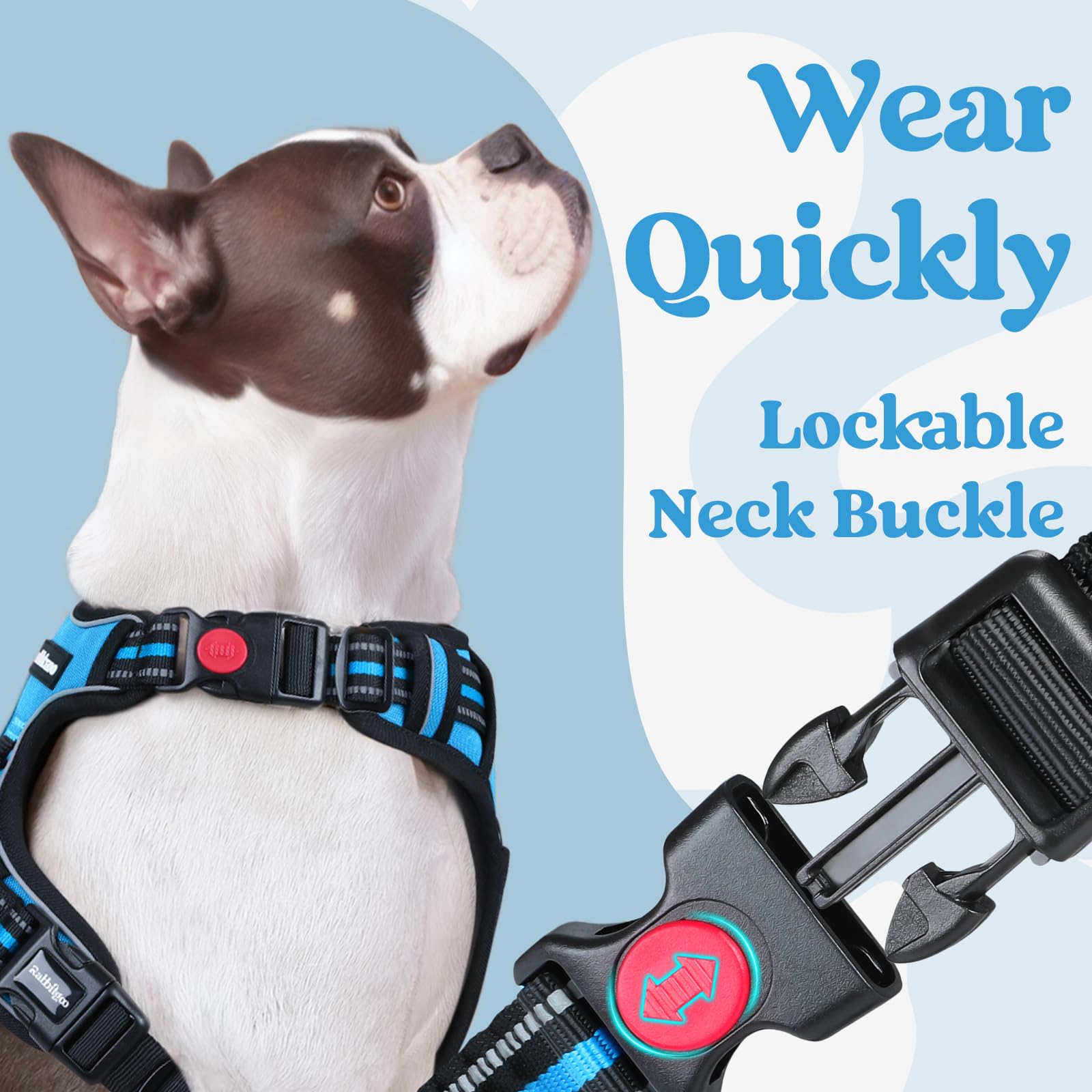 Rabbitgoo chest straps demonstrate even tension for comfort.