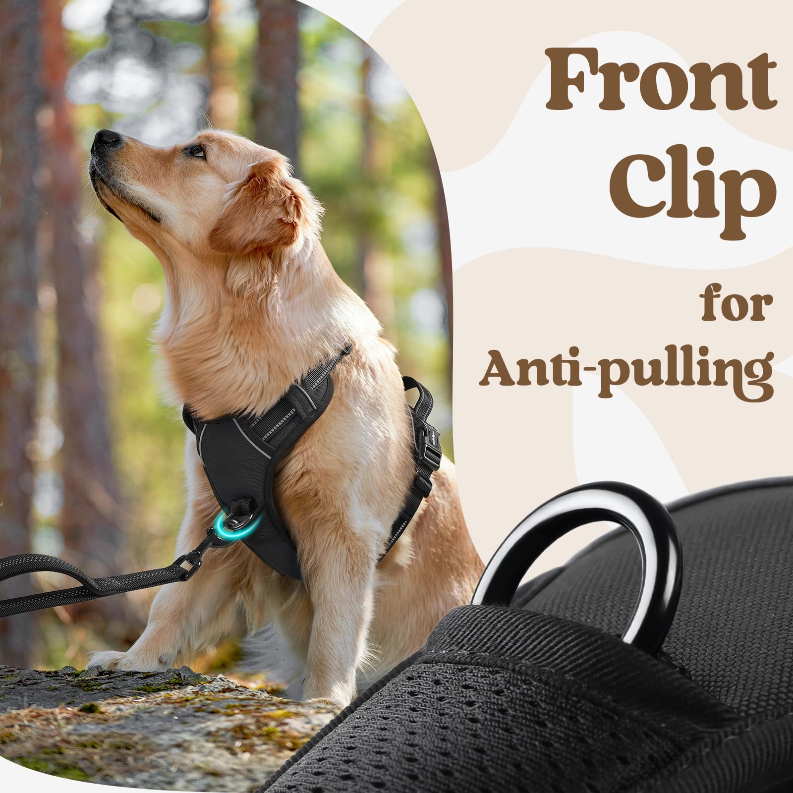 Rabbitgoo top handle offers precise control and easy lifting during training.