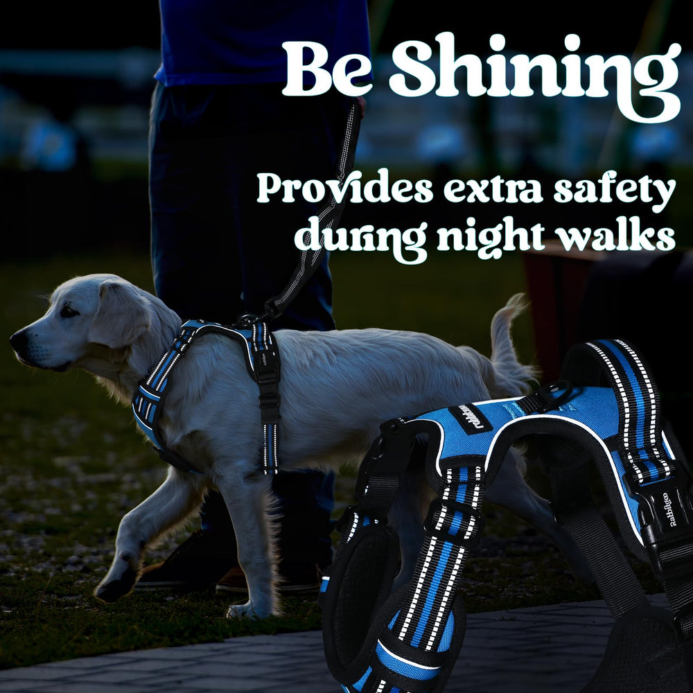 Rabbitgoo dual leash attachment points enable versatile walking and training.