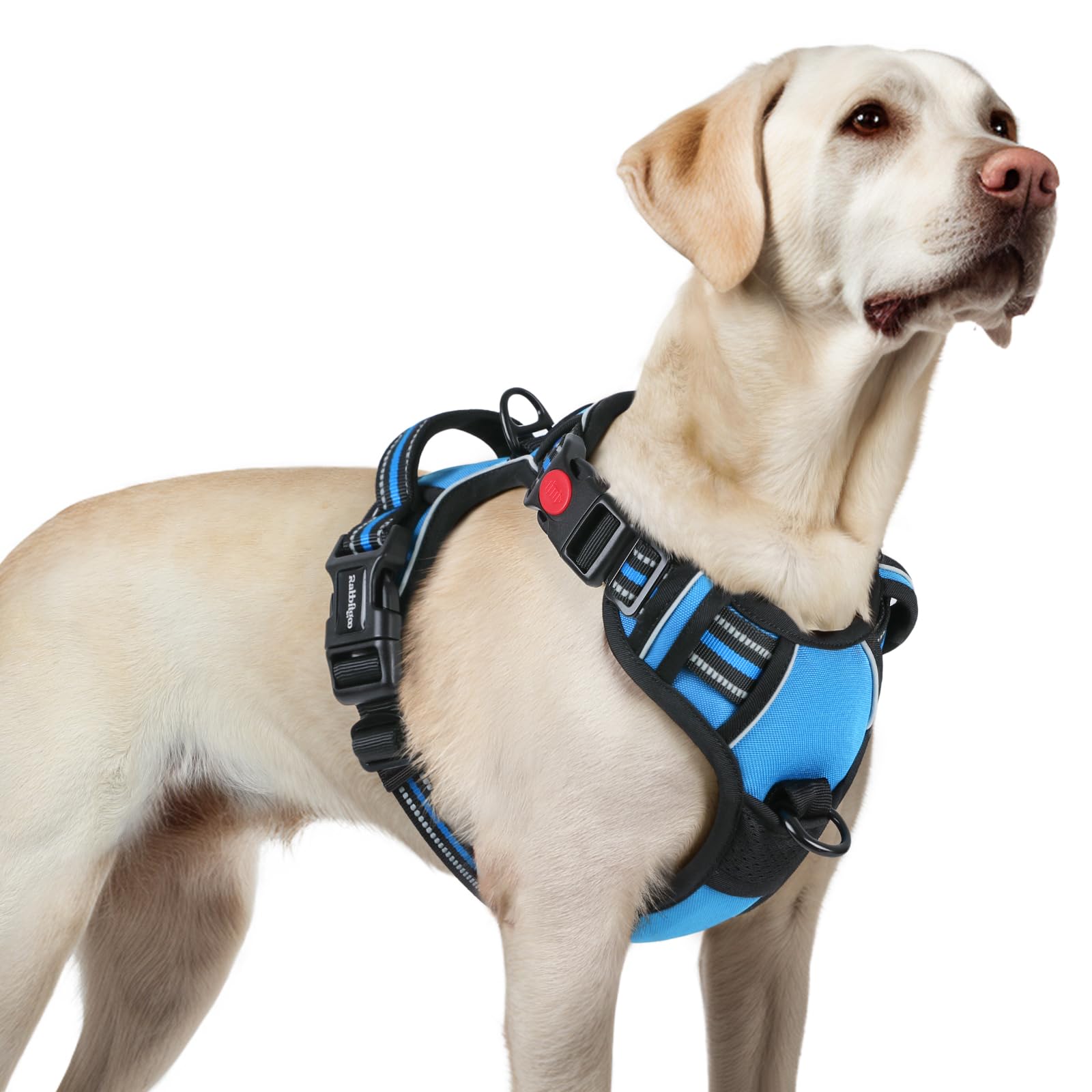 Rabbitgoo dog harness front view showing secure fit for large dogs.