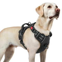 Rabbitgoo dog harness large no-pull front view supports controlled walks.