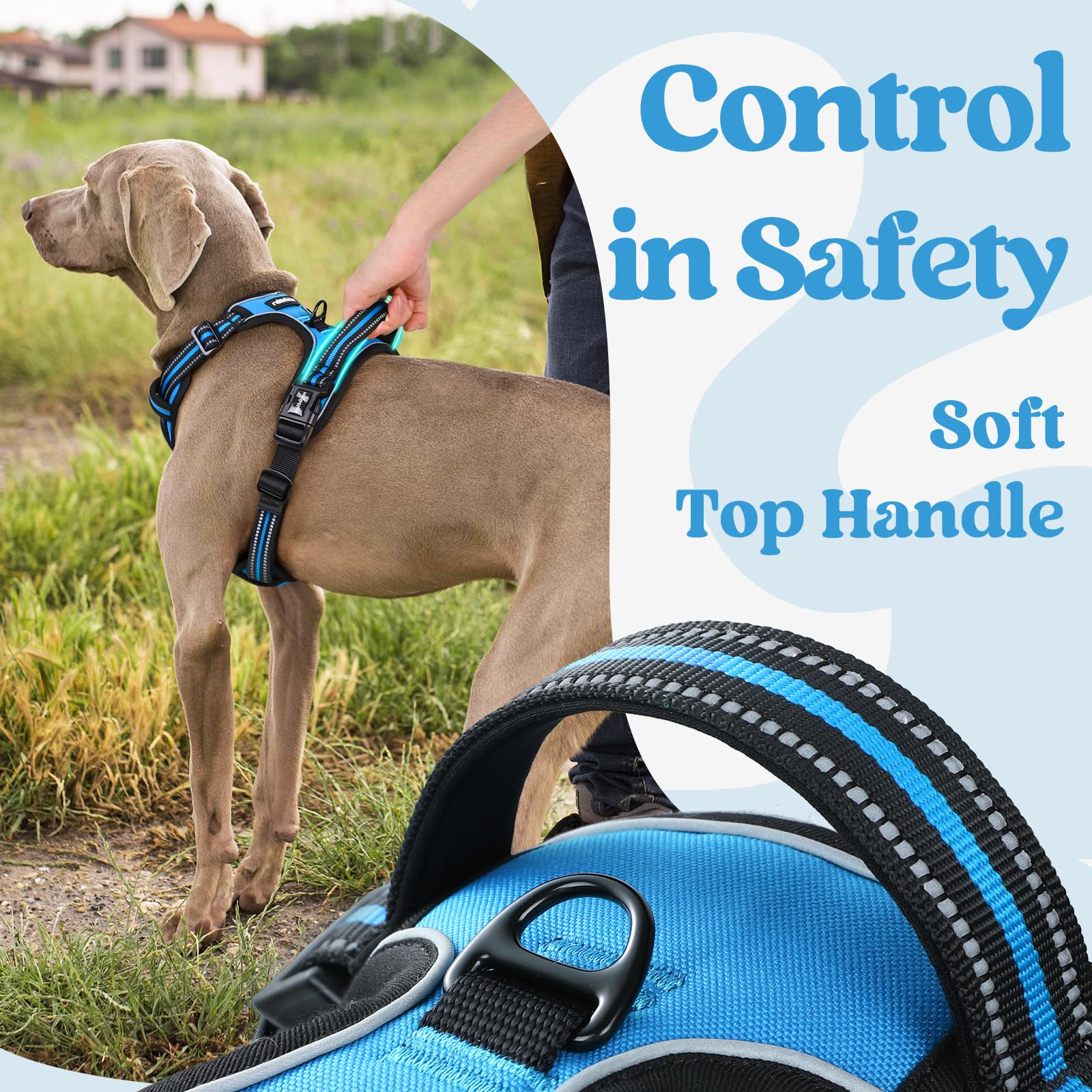 Rabbitgoo harness with reflective stitching boosts visibility for night walks.