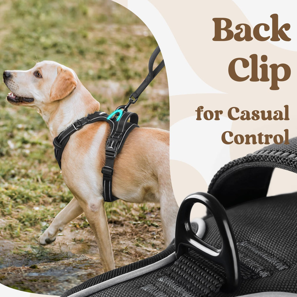Rabbitgoo soft padded vest keeps dogs comfortable with breathable mesh.