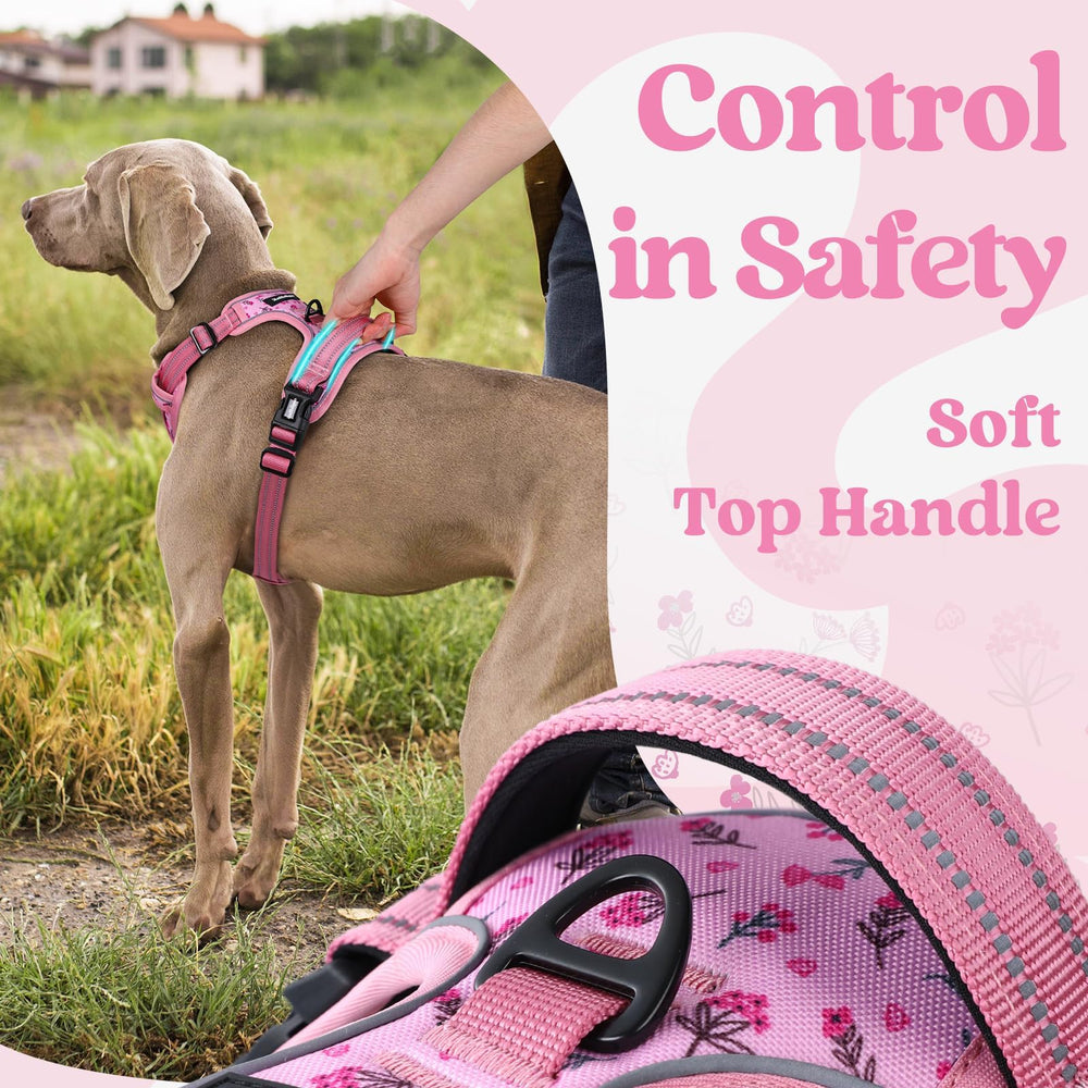 Rabbitgoo harness padded cushion and soft edges reduce irritation during wear.
