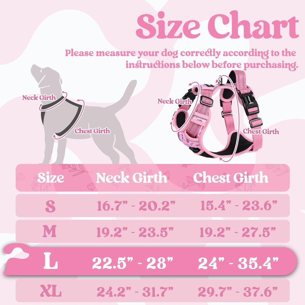 Rabbitgoo large harness with three quick-release buckles for easy on-off.