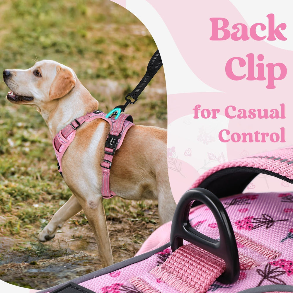 Rabbitgoo top handle provides secure grip for controlled handling.