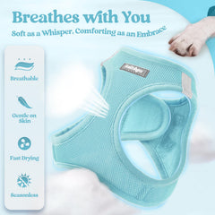 rabbitgoo leash mint blue 5.12ft length showing anti-tangle clip for smoother daily strolls