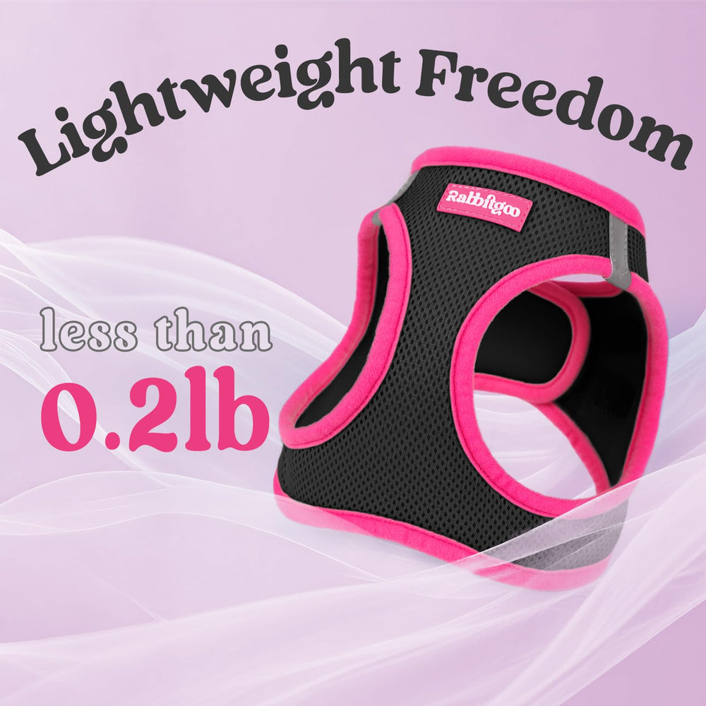 Rabbitgoo leash set 5.1 ft complements the harness.