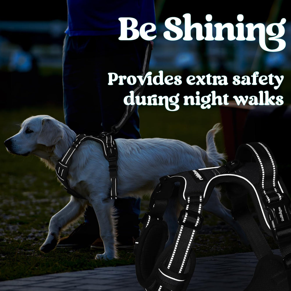 Rabbitgoo night-walking visibility harness helps you see your dog after dark.