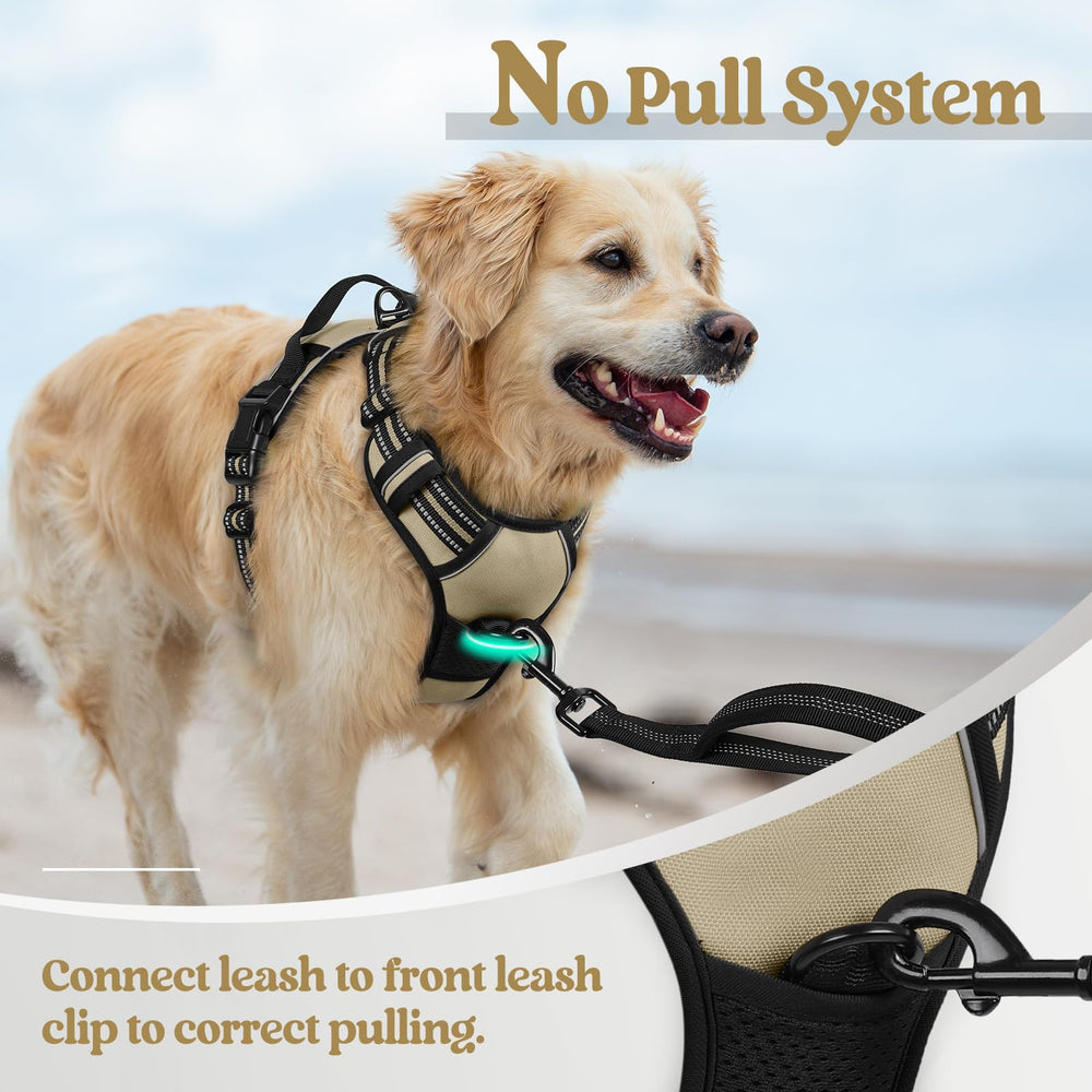 Rabbitgoo dog harness no pull adjustable straps fit growing dogs