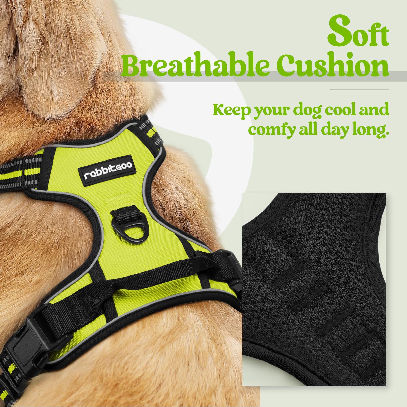 Rabbitgoo no-pull back-clip harness for casual strolls and relaxed leash control.