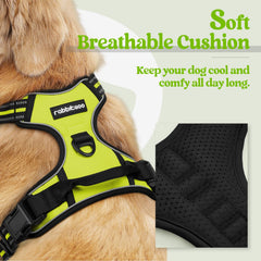Rabbitgoo no-pull back-clip harness for casual strolls and relaxed leash control.