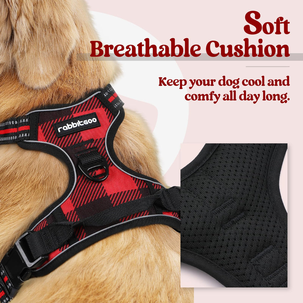 rabbitgoo dog harness no-pull back view with dual leash rings for versatile walks