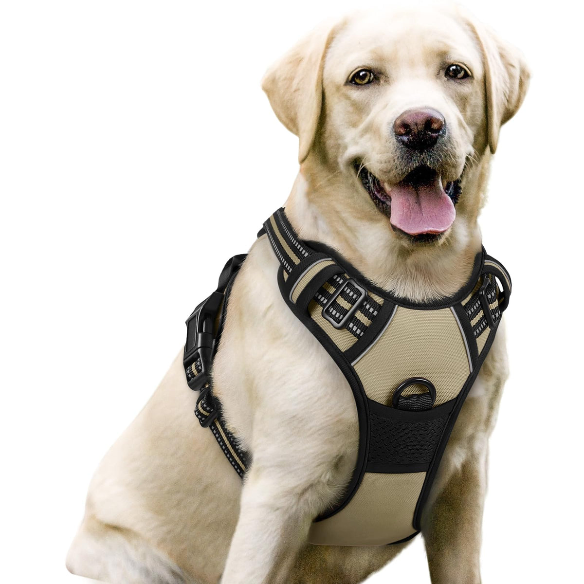Rabbitgoo dog harness no pull beige front view with padded comfort for daily walks