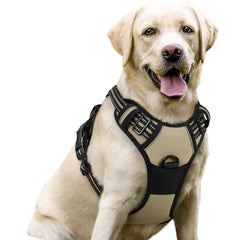 Rabbitgoo dog harness no pull beige front view with padded comfort for daily walks