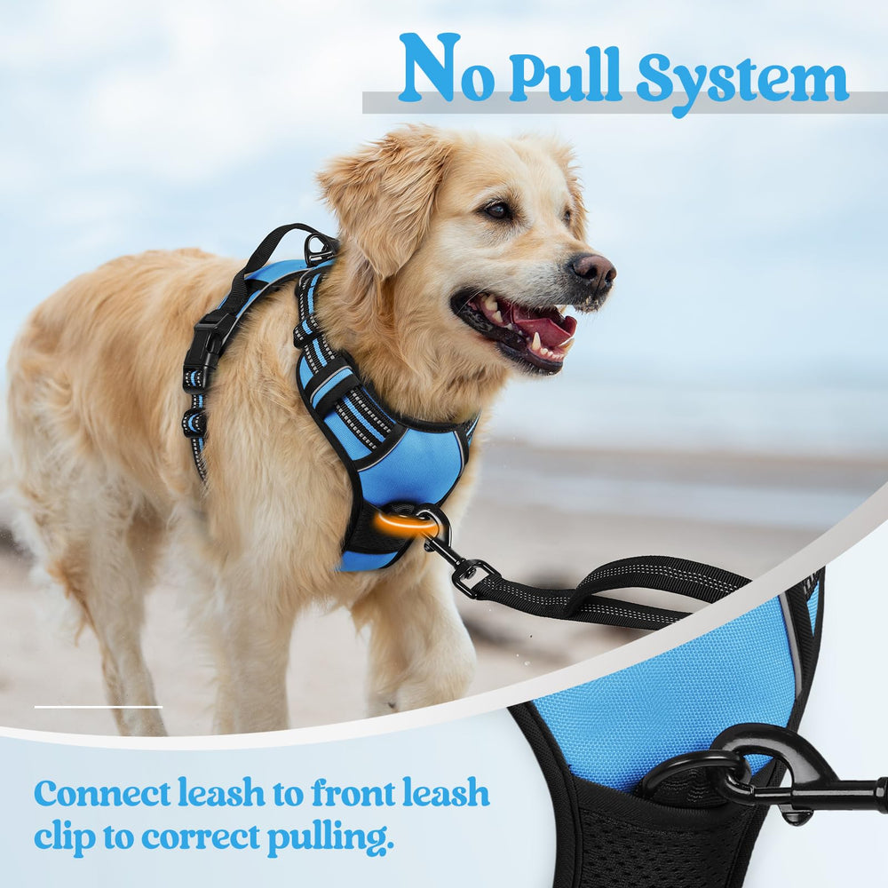 Rabbitgoo adjustable straps demonstrate four-point fit for growing dogs