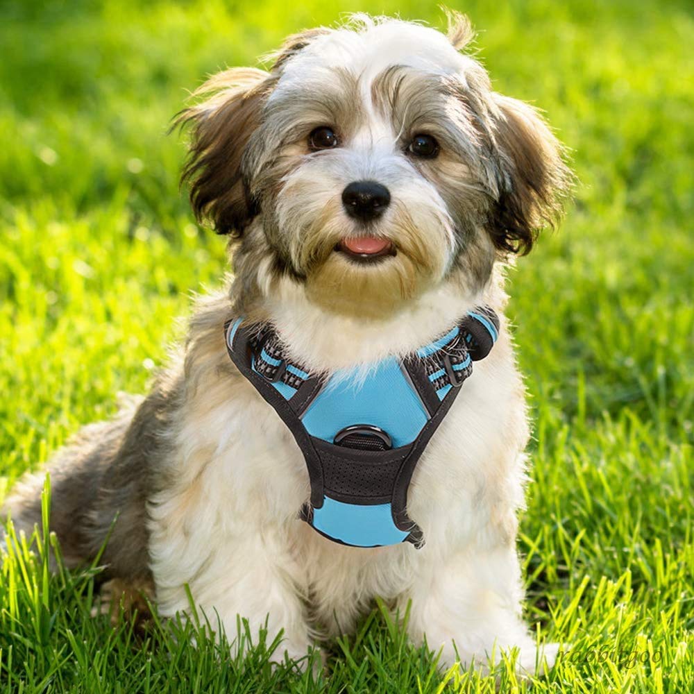 Rabbitgoo blue harness close-up material shows breathable Oxford fabric