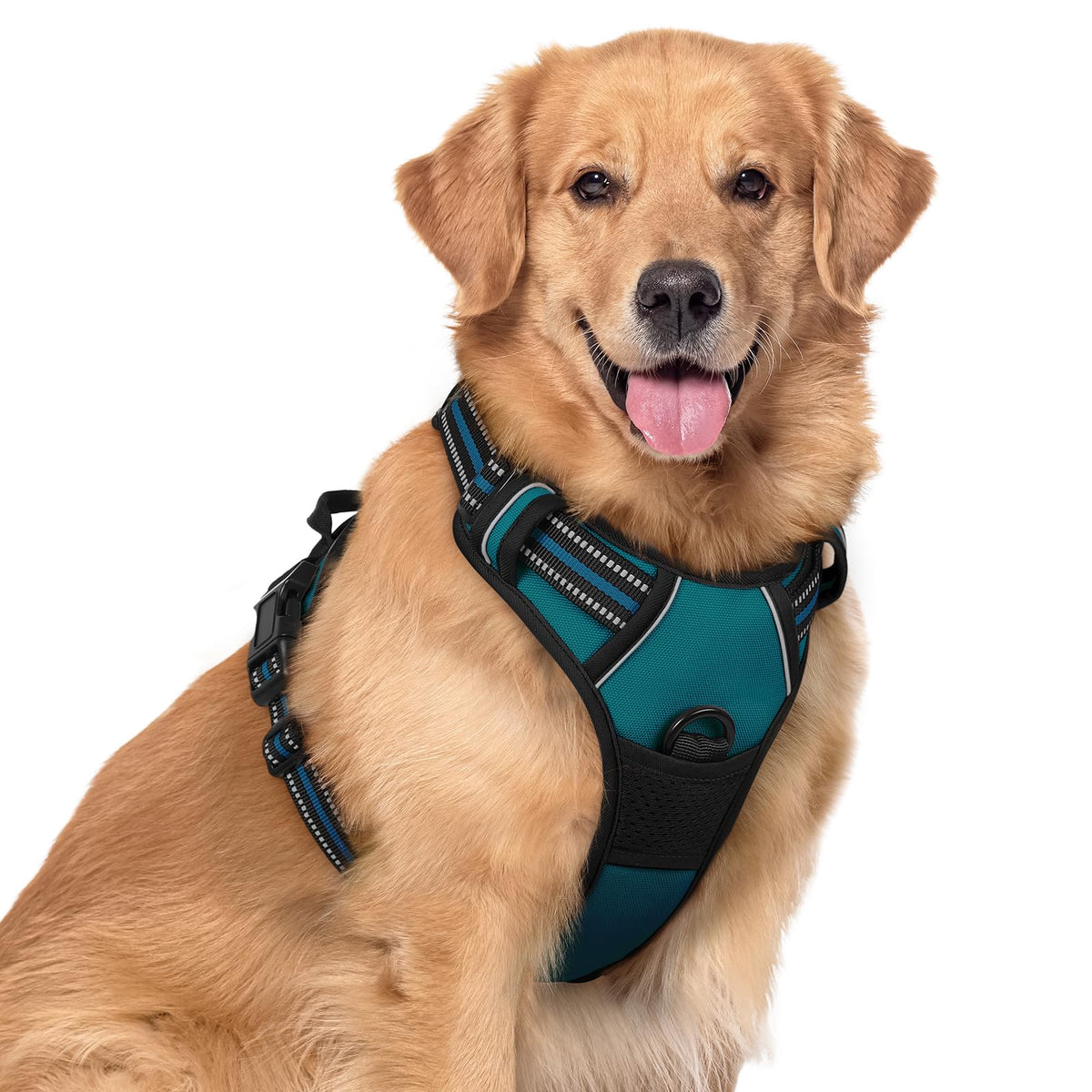 Rabbitgoo no-pull dog harness in blue coral on large dog during daily walk for comfort