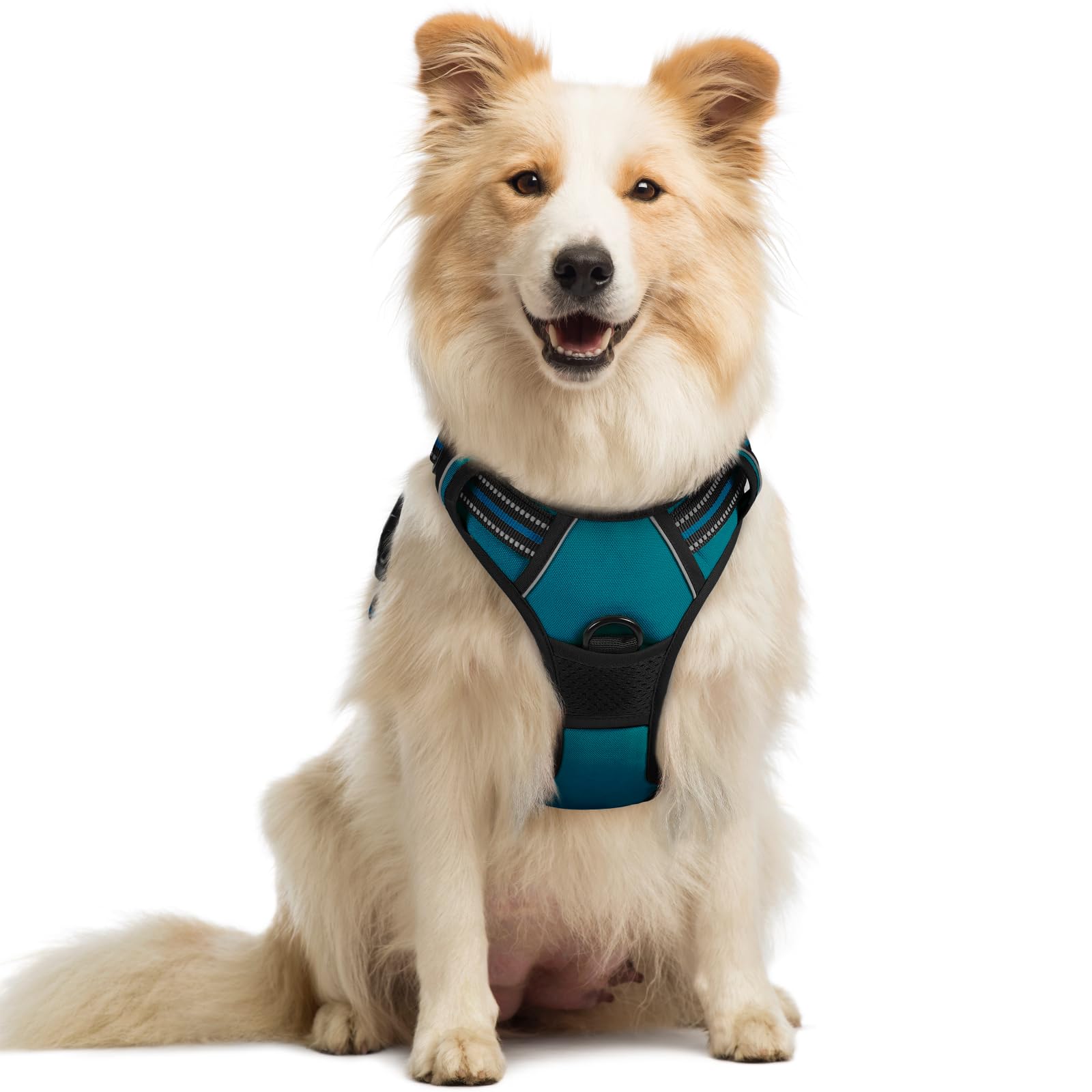 Rabbitgoo dog harness no-pull blue coral keeps walks calm and controlled.