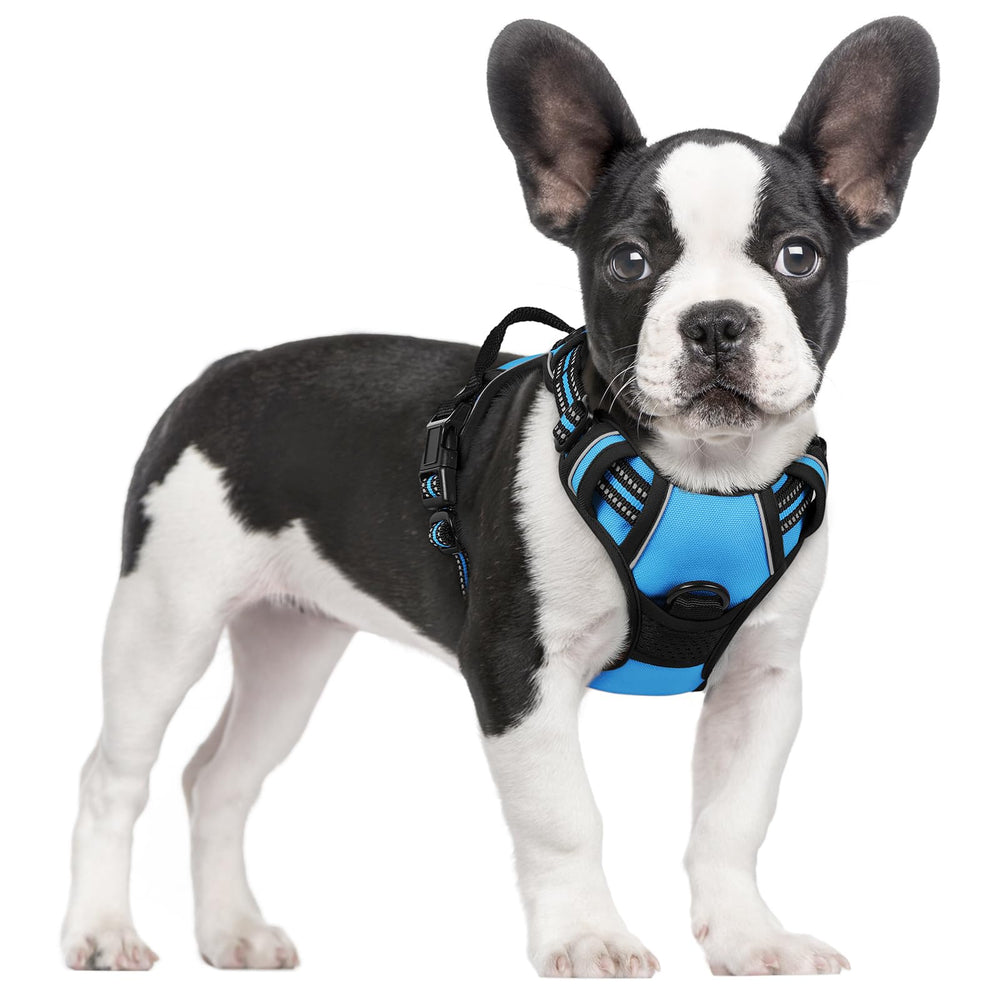 Rabbitgoo dog harness front view with dual leash rings for safer walks